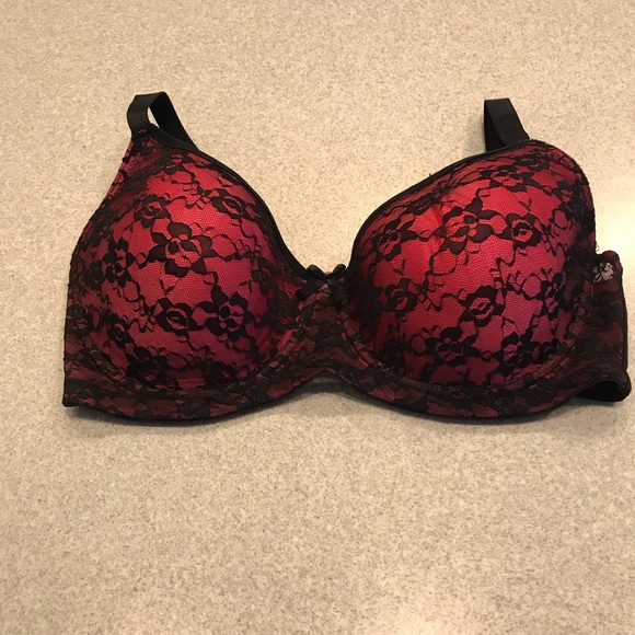 Paramour Other - Paramour 40D bra